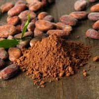 Cocoa Bean Extract CELLUCARE's Ingredient